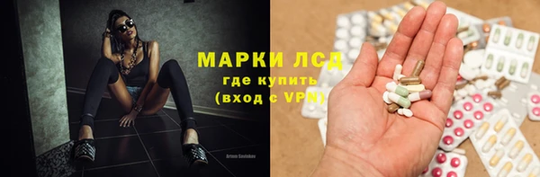 эйфоретик Аркадак