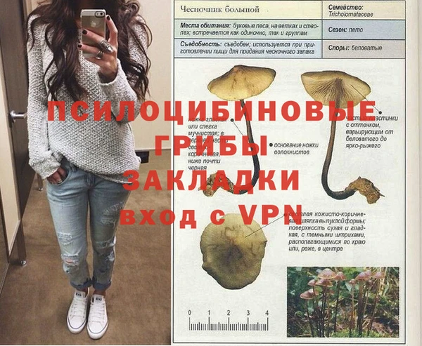 эйфоретик Аркадак
