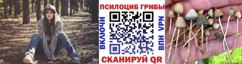Купить закладки  Бавлы  Псилоцибиновые грибы прущие грибы 